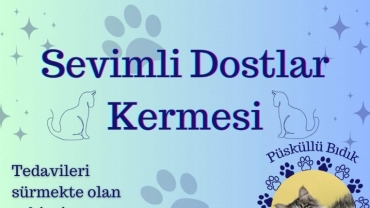 Sevimli Dostlar Kermesi